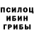 Галлюциногенные грибы прущие грибы toha Survival
