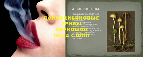 МДПВ Осташков