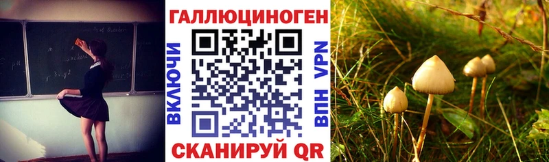 Псилоцибиновые грибы Psilocybine cubensis  это Telegram  Таштагол 